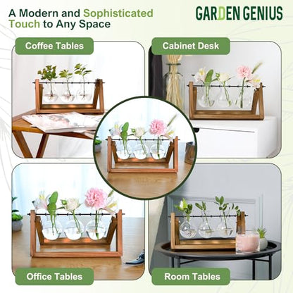 Glass Propagation Station with Wooden Stand – 3 Bulb Vase Plant Terrarium for Home & Office | Ideal Christmas, New Year & Birthday Gift for Plant Lovers, Moms | Hydroponic Desktop Planter Set - size: 3 Bulbs