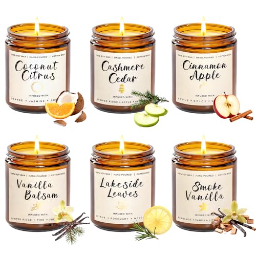 Scented Candle Gift Set for Women – 6 Pack 7oz Winter Scented Soy Candles, Long Lasting Aromatherapy Candle, Perfect for Home Décor, Vanilla, Cinnamon & Cedar Scents - color: 6 Pack Winter Candles