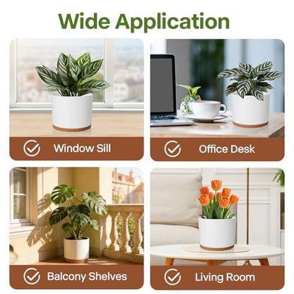 3 Pack Cylinder Planter Set 10/9/8 Inch White Indoor Plant Pots | Modern flower pots with drainage holes and saucers. For outdoor garden, succulent, nursery, and house plants. - color: White-brown