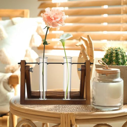 Veemoon 4pcs Plant Propagation Glass Tubes Clear Plants Test Tubes Tiny Hydroponic Planter Vase Decorative Table Terrarium Propagation Station Accessory for Home Office Garden Hydroponic Cuttings