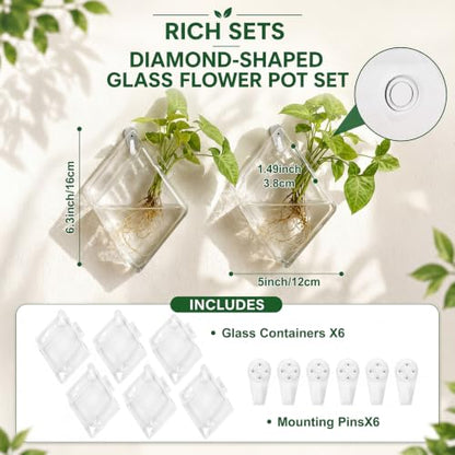 6 Set Wall Hanging Glass Terrariums Planter Wall Propagation Planters Diamond Flower Vase for Indoor Hydroponics Plants, Bathroom, Home Office Living Room Decor(Plants Not Included)