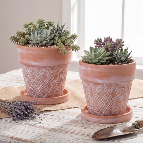 Set of 6 Embossed Succulent Pots 4" Small Terracotta Pots with Drainage Hole and Saucer Rustic Clay Succulent Planter Pot Decorative Ceramic Cactu Flower Pot for Indoor Outdoor(Lattice Style) - size: 4 Inch, style: Lattice Style