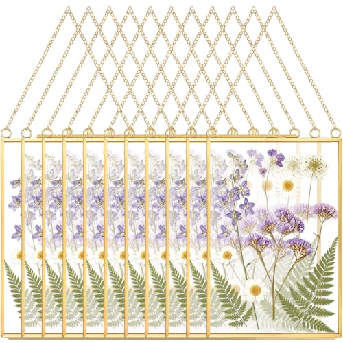Qunclay 10 Pieces Pressed Flower Glass Picture Frames 4 x 6 Inch Brass Hanging Photo Frame Floating Photo Wall Frame Clear Vertical Frames with Chain for Gallery Vintage Artwork Display - size: 4 x 6 Inch