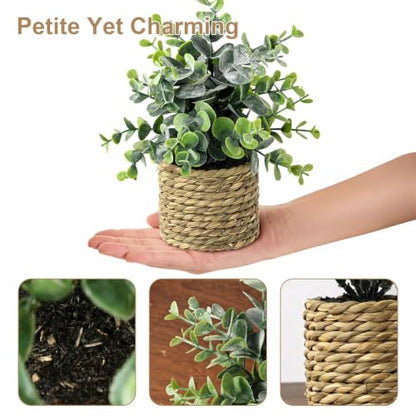 Small Fake Plants, 4 Pack Artificial Plants in Handwoven Seagrass Baskets | Natural Woven Texture, 4 Unique Plant Designs, Shelf, Desk & Table Decor, Realistic Faux Greenery, Farmhouse & Boho Decor