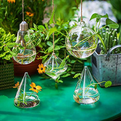 Glasseam Hanging Plant Propagation Station: 5Pcs Small Glass Terrarium Jars | Hydroponic Planters for Indoor Pothos Cutting Propagate, Home Wall Window Decor, Handmade, Gifts for Plant Lovers