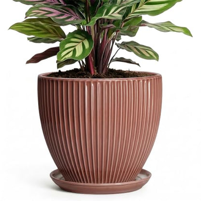 Ceramic Pots for Plants 6 Inch, Ceramic Plant Pots Indoor with Drainage Hole and Saucer, Modern Flower Pot, Round Decorative Planter, Living Room Home Decor, House Warming Gifts, Rust Red - size: 6 Inch, style: Rust Red