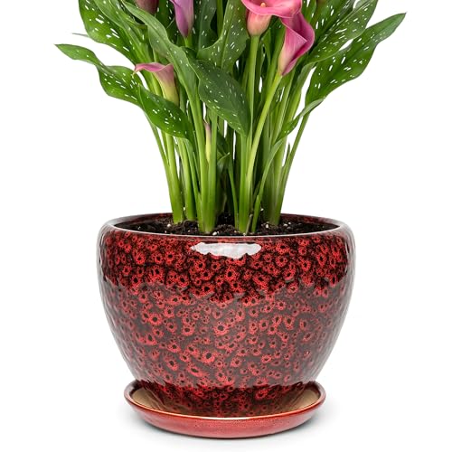 9.5 Inch Ceramic Plant Pot with Drainage Hole Mesh Net,Modern Gardening Pots for Indoor Plants with Saucer, Speckle Red - color: Peacock Red, size: 9.5 Inch