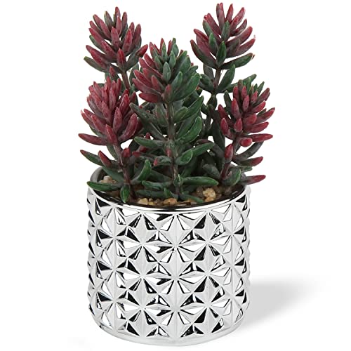 Briful Small Artificial Succulents in Pots 5.4'' Tall Realistic Fake Potted Plants for Home Office Decor Indoor Cute Succulents Faux Plants with Silver Glass Pot - color: Red Succulent#011