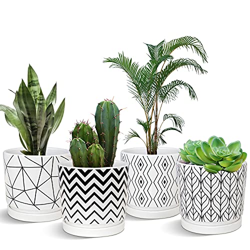 Plant Pots,5.5 Inch White Pots for Indoor Plant with Drainage Hole Set of 4 | Cylinder Flower Pot | Ceramic Planters with Sauce | Cactus Planters for Putdoor Plants | Medium Pots for Plants - color: White