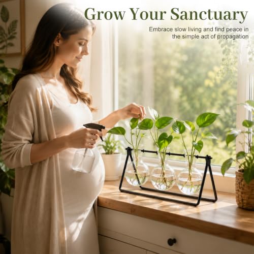 Plant Terrarium with Metal Stand, 3 Bulb Glass Vase, Minimalist Plant Stand | Propagation Stations For Hydroponic Plant, Tabletop Indoor Room Office Home Desk Decor Gardening Gifts For Women, Plant Lover