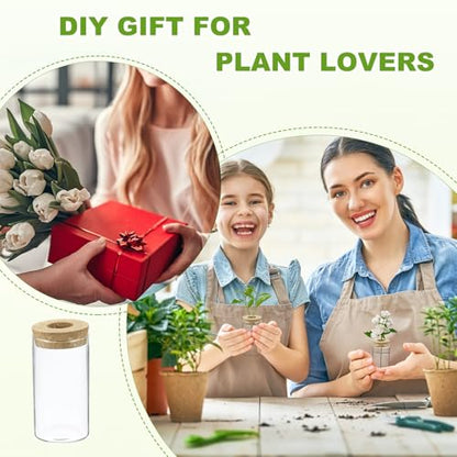 M METERXITY 1 Pack Glass Planter Terrarium with Wooden Cover, Desktop Plant Propagation Station Clear Vase for Hydroponic Plants Propagation/Home Garden Decor/Plant Lover [2.56'' x 4.72''] - size: 2.56'' x 4.72''