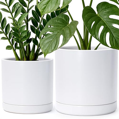 D'vine Dev 2-Pack Ceramic Pots with Saucers, 8/10 in, White, 94-G-L-1 | Glazed Ceramic, Drainage Hole, Perfect-Fit Saucer, Sleek Cylinder Shape, High Temperature Fired, Elegant Home Accent - color: White, size: Large