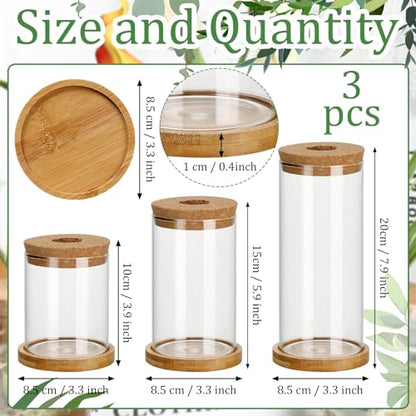 3 Pcs 3 Sizes Plant Propagation Station Separated Glass Plant Terrarium Water Hydroponic Planter Holder with Lid and Wooden Stand Propagation Vase Pot for Home Indoor Office(Various Sizes) - size: Various Sizes
