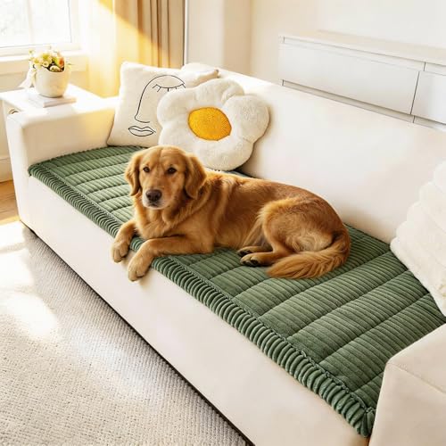 Awjcsv Couch Covers for Dogs Washable, Non Slip Sofa Protector Pet Friendly | Thick, Soft Furniture Cover, Against Pets Hair & Scratch, Fits Leather and Fabric Couches, 23.6" X 47" - color: Green, size: 23.6" X 47"