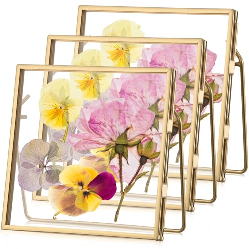 3 Pack Glass Pressed Flower Frame Handmade, 4 x 4 Floating Picture Frames for Pressed Flowers, Brass Double Glass for Tabletop Display, Home Office Plant Specimen, Photos(Gold) - color: Gold, size: 4 x 4 Inches