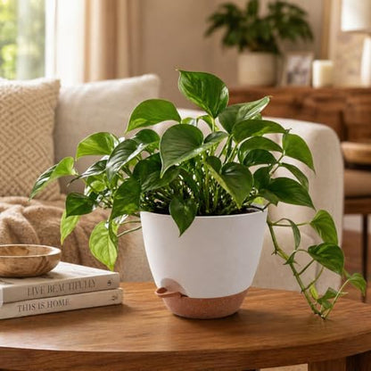 TYMENSH Plant Pots 12/10/9 Inch Set of 3, Self Watering Planters with Drainage Holes and Water Reservoir, Heavy Duty Plastic Flower Pots for Indoor Outdoor Plants, White