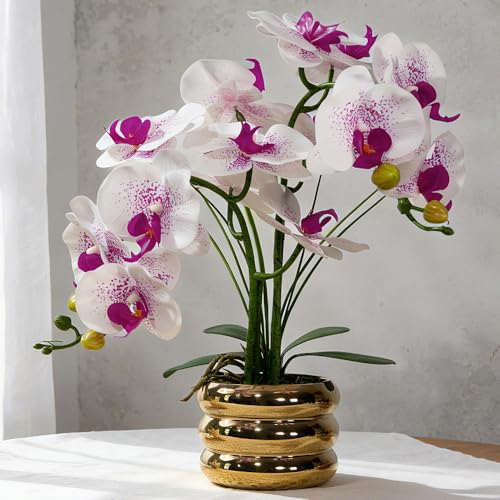 Artificial Orchids Flowers with Vase for Table Centerpieces, Real Touch Faux White Orchid Phalaenopsis in Ceramic Vase for Home Wedding Kitchen Decoration (Gold Vase, White Purple) - color: Gold Vase, White Purple