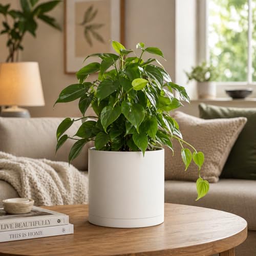 Giraffe Creation Cylinder Plant Pots 12/10/8 Inch Set of 3, Modern Round Planters with Drainage Holes and Saucers, Durable Plastic Flower Pots, White - color: White 12/10/8 Inch