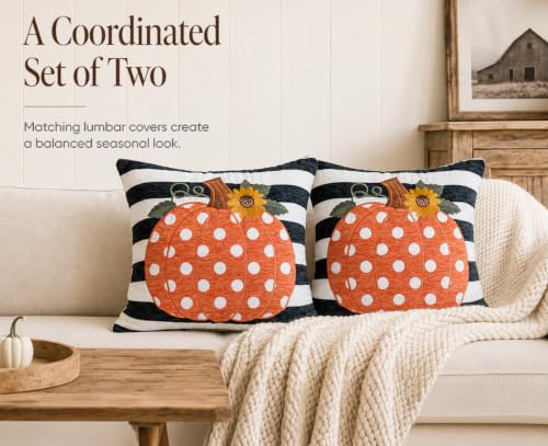 Embroidery Fall Pumpkin Pillow Covers Set of 2(Black & White,18x18) | Soft chenille, black-and-white stripe design, applique pumpkin and sunflower embroidery, hidden zipper, for sofa and bed - size: 18" x 18" (Pack of 2)