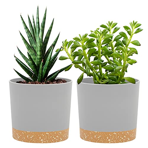 QCQHDU 5 inch Plant Pot, 2 Pack Planters for Indoor Plants with Drainage Holes & Saucer, Outdoor Flower Pots Home Garden Modern Decor - color: Light Grey, size: 5 inch
