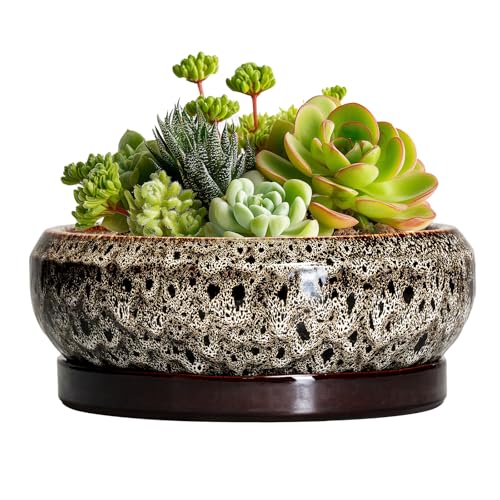 Succulent Planter 6 Inch - Ceramic Bonsai Pots with Drainage Hole and Tray, Shallow Plant Pot Indoor Outdoor, Cactus Succulent Pot, Round Bonsai Planter, Home Decor, Plant Lover Gift, White - color: Leopard Brown-white, size: 6 Inch