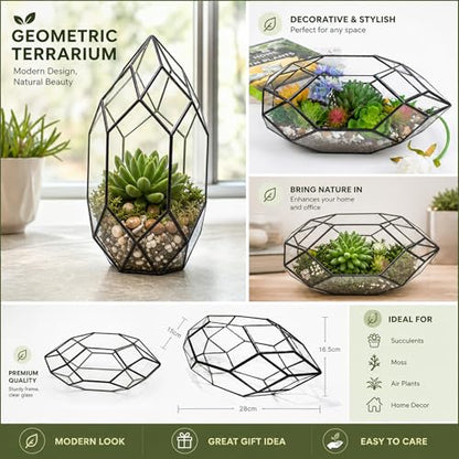 Ferris Island Handmade Glass Home Geometric Glass Succulent Flowerpot | Ideal for succulents, air plants, moss, mini ferns, and DIY terrarium arrangements with natural decorative accents. - size: 5.9"L x 11"W x 6.5"H