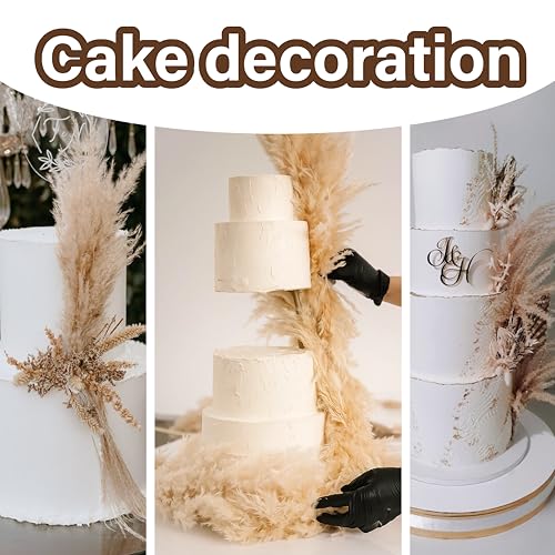 50 PCS Tall Pampas Grass for Floor Vase – 17" Natural Fluffy Dried Pampas Grass Stems, Large 20 White & 30 Brown Pоmpas Grass, Boho Pampas for Wedding, Home Decor, Halloween, Christmas