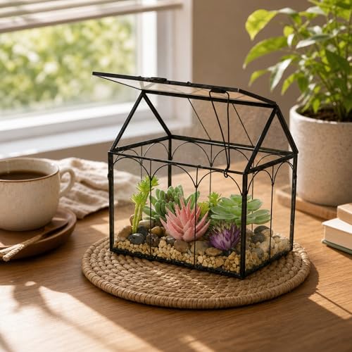 FerrisIsland Glass Plant Wardrobe Indoor Small Succulent Aquarium | FerrisIsland glass plant small succulent aquarium with desktop decoration DIY door (6 in long x 4.3 in wide x 6.3 in high) - size: 6" L x 4.3" W x 6.3" H