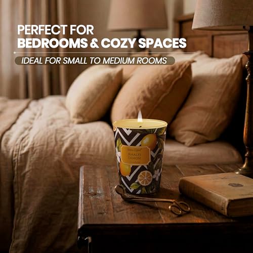 HomeLights Large jar Candle | 1-Wick Long-Lasting Scented Candles, 6.7oz Natural Soy Wax Candle for Home Scented, Eclectic Mixed Styles Gifts for Women & Men, Amalfi Lemon - color: Amalfi Lemon