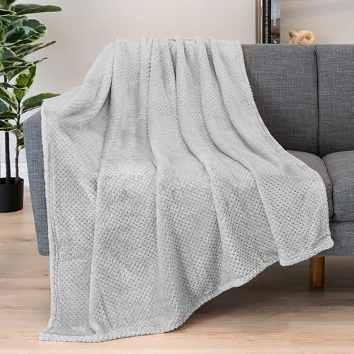 PAVILIA Fleece Throw Blanket for Couch Sofa Bed, Silver Light Gray 50x60 | 280 GSM Soft Fuzzy Waffle Textured Jacquard Microfiber, Warm Lightweight Fade-Resistant Decorative Decor, All Season Gift - color: Light Gray, size: 50 X 60 Inches - Throw