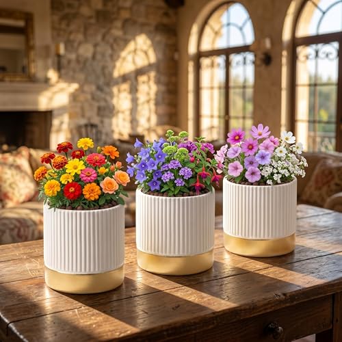 Set of 3 Cement Planter Pots with Drainage Hole,4 inch Plant Pots for Plants Indoor Houseplants,Succulent Pots Windowsil Planter (White&Gold) - color: White
