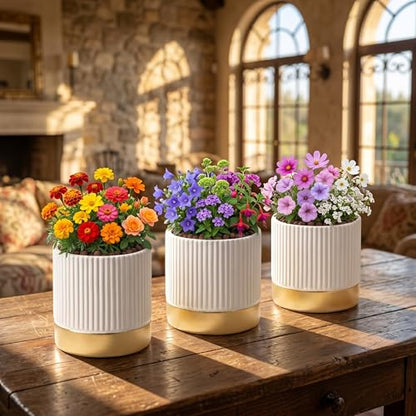 Set of 3 Cement Planter Pots with Drainage Hole,4 inch Plant Pots for Plants Indoor Houseplants,Succulent Pots Windowsil Planter (White&Gold) - color: White