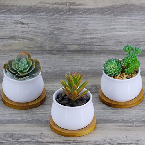 6pcs 3 inch Bamboo Round Plant Saucer, Mini Flower Pot Tray for Cactus Plant Pot Flower Pot Container Planter Bonsai Pots,no Plants Pot - size: 3 Inch