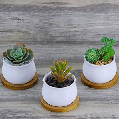 6pcs 3 inch Bamboo Round Plant Saucer, Mini Flower Pot Tray for Cactus Plant Pot Flower Pot Container Planter Bonsai Pots,no Plants Pot - size: 3 Inch