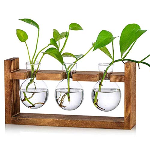 Kingbuy Glass Plant Terrarium with Retro Wood Stand, 3 Bulbs | Propagation Station, Indoor Garden Planter & Bulb Vase, Desktop Decor, Gift for Women and Plant Lovers - color: Clear