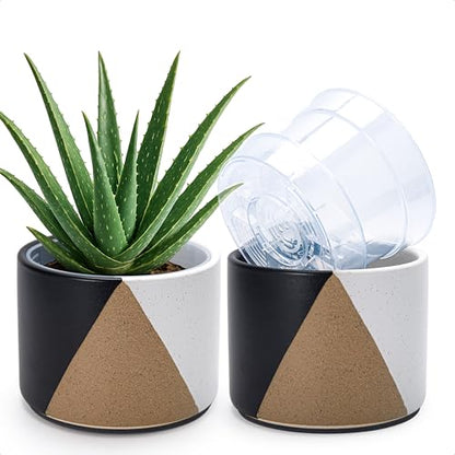 D'vine Dev 2-Pack Cachepot with Clear Pot, 6.5"low, Midnight Mesa, 93-V-D-2 | Dual-Pot System, Root Visibility, Bottom Watering Support, Enhanced Drainage, Artistic Stoneware Design, Easy Plant Care - color: Midnight Mesa, size: 6.5” Cachepot + 6“ Clear G