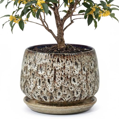 10.3 Inch Ceramic Planter with Saucer,Modern Garden Pots with Drainage Hole Mesh Net, for Indoor Outdoor Use (Speckle White) - color: Peacock White, size: 10.3 Inch