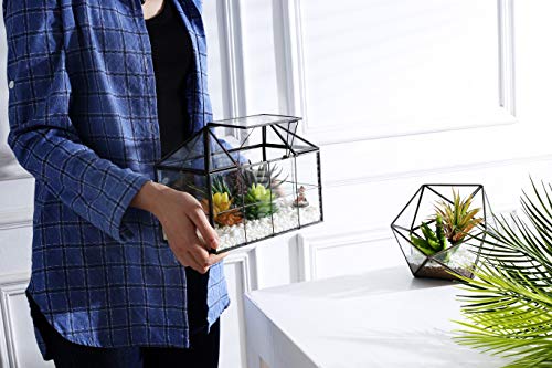 Glass Terrarium, House Shape Geometric Succulent Terrarium with Swing Lid Tabletop Planter Box Mini Indoor Greenhouse for Fern Moss Air Plants Miniature Housewarming Gift