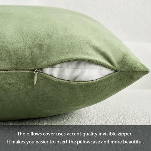 MIULEE Velvet Pillow Cover Soft Luxury Decorative Throw Pillow Cover Single Rectangle Cushion Case for Spring Couch Sofa Bedroom Car Decor,12x20 Inch Sage Green | Soft Luxury Decorative Throw Pillow Cover, Single Rectangle Cushion Case, Home Decor for Cha