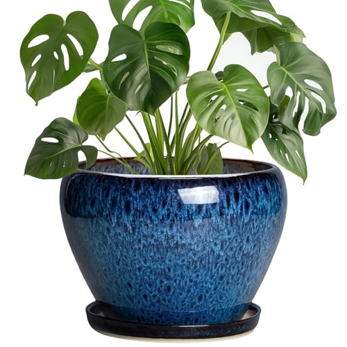 8 Inch Plant Pot - Ceramic Planter for Indoor Plants Outdoor, Round Planter with Drainage Hole and Saucer, Modern Decorative Flower Pots, Home Office Room Decor, Plant Lovers Gifts, Blue - color: Blue, size: 8 Inch