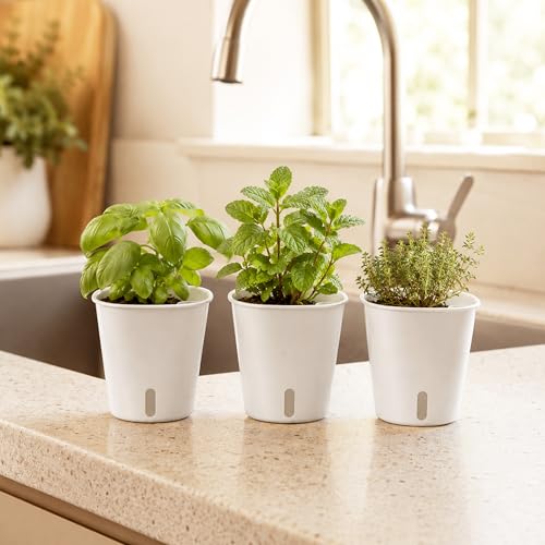 3" Self Watering Pots - 10 Sets Planter Pots for Indoor Plants With Water Level Indicator and Multiple Vents - for House Plants, Flowers, Herbs - size: 3 Inch - 10 Sets