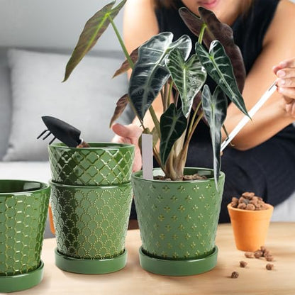 EFISPSS Ceramic Plant Pots, 5 Inch Planters with Drainage Holes and Ceramic Tray, Relief Design Flower Planter, Desktop Office Windowsill Decoration Gift Set of 4 - Blackish Green - color: Blackish Green