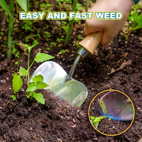 Berry&Bird Potting Trowel, Oversized Garden Hand Shovel with Sharp Blade & Wood Handle, Stainless Steel Gardening Tool for Roots, Planting, Digging, Transplanting, Soil Loosening and Fertilizer Mixing - color: Plus-size Potting Trowel