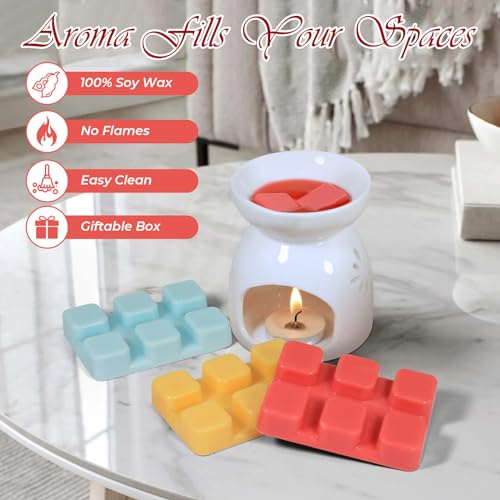 Wax Melts, Scented Wax Cubes Strong Scent, 6 Pack | Summer Scents Soy Wax for Wax Warmer - Pineapple, Watermelon, Strawberry, Mango, Passion Fruit, Mint - size: 6 Pack Fruit Series