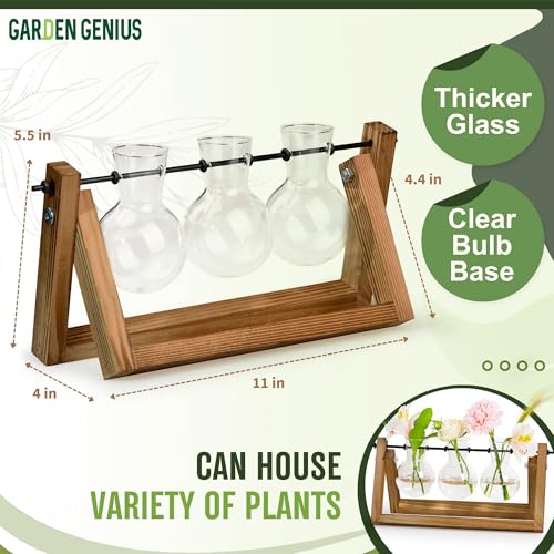 Glass Propagation Station with Wooden Stand – 3 Bulb Vase Plant Terrarium for Home & Office | Ideal Christmas, New Year & Birthday Gift for Plant Lovers, Moms | Hydroponic Desktop Planter Set - size: 3 Bulbs
