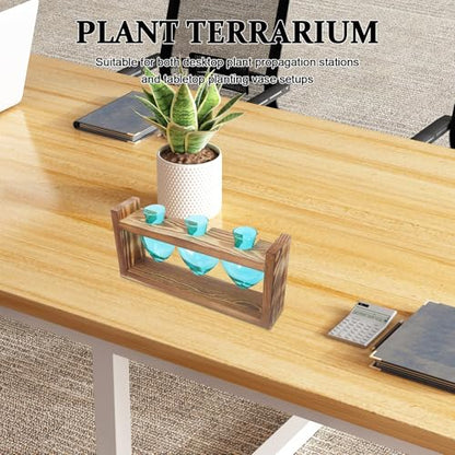 NUOBESTY Plant Propagation Station with Wood Stand Heart Shaped Glass Propagation Vase Set Hydroponic Plant Terrarium for Cuttings Desktop Home Office Garden Decor