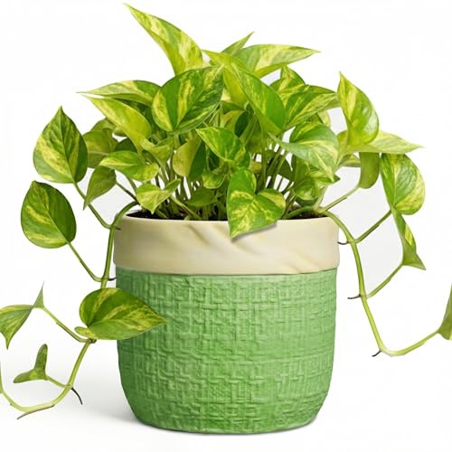 Ceramic Plant Pots - 6 Inch Plant Pot with Drainage Hole, Boho Planters for Indoor Succulent Plants, Decorative Round Unique Flower Pots, Garden Home Office Decor, Housewarming Gifts, Green - color: Green, size: 6 Inch