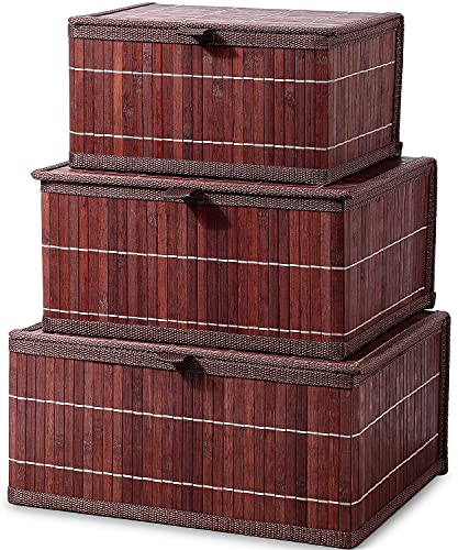 Honygebia Bamboo Decorative Storage Boxes - Set of 3 Woven Lined Storage Basket with Lids, Retro Brown Wicker Lidded Baskets for Home Kitchen Shelf Organizer Decor - color: Retro Brown