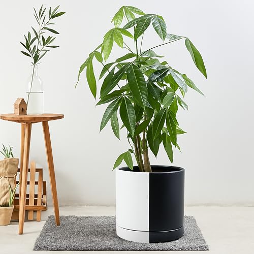 D'vine Dev 10 Inch Ceramic Planter Pot, Black White Split, 94-O-E-0 | Modern Cylinder Design, Drainage Hole & Saucer Included, Stable Structure, Elegant Home Accent - color: Split Monochrome Black & White, size: Large