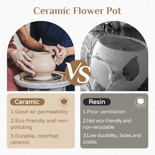 Bee Hanging Planter Gifts for Women: Ceramic Flower Pot with Drainage - color: Milky White & Beige-honey Jar